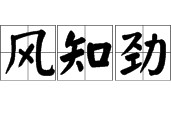 什么風(fēng)什么勁草 100個有風(fēng)的四字成語