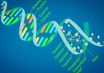 生物科學的就業(yè)是什么 生物科學能從事什么工作