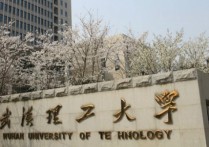 武漢工業(yè)大學 武漢工業(yè)大學是民辦大學嗎