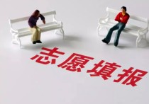 河南高考分?jǐn)?shù)查詢(xún) 河南省高考分可以查詢(xún)了嗎