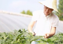 女博士畢業(yè)都做什么了 雙非學(xué)校博士有用嗎