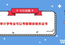 學(xué)審計考什么證呢 審計學(xué)專業(yè)有哪些證書