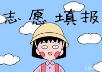 調(diào)劑志愿可以寫些什么字 調(diào)劑系統(tǒng)三個平行志愿填報技巧