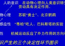 意識的本質(zhì)是什么 考研 意識的本質(zhì)包括的內(nèi)容是