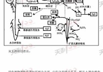 什么是代謝病 雞身上有病有什么癥狀