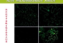 微生物學(xué)通報什么水平 生物類普通期刊有哪些