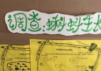 中班觀察記錄 幼兒園托班家長(zhǎng)的觀察記錄怎么寫