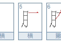 胯讀什么 胯的拼音和詞語是什么