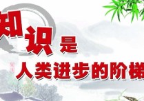 什么是知識(shí)寶庫 一個(gè)寶庫可以拿兩樣?xùn)|西嗎