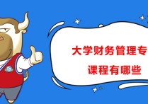 河南大學(xué)的會(huì)計(jì)有什么課程 大學(xué)會(huì)計(jì)學(xué)主要是學(xué)什么