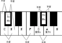 樂(lè)理考級(jí)分幾個(gè)級(jí) 樂(lè)理考級(jí)一年一共考幾次