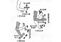 肌肉收縮用什么學說 肌肉收縮四種形式