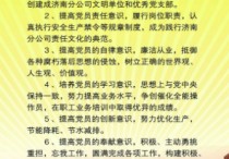 公開承諾事項 共產黨員公開承諾書中實事承諾內容和崗位承諾內容具體怎么填？