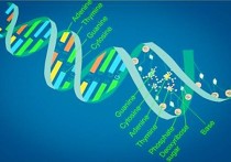 生物類學(xué)校有哪些專業(yè)課程 大學(xué)生物工程專業(yè)有哪些課程