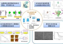 什么是生物無機化學 基礎(chǔ)有機化學和有機化學的區(qū)別