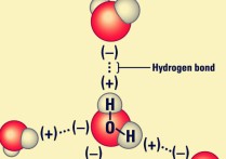 氫鍵和氫橋有什么不同 氫鍵鍵能與什么有關(guān)