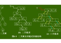 計算機(jī)中的叉樹是什么意思 二叉樹一般用來干什么